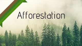 Afforestation  Geography Dictionary [upl. by Borden]