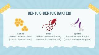 bentuk dan struktur bakteri [upl. by Sebastien375]