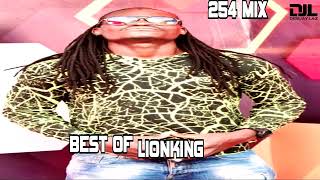 Best of Lionking 254 Mix [upl. by Esile]