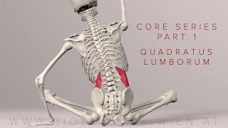 Core Series Part 1 Quadratus Lumborum 3D Animation [upl. by Koo]