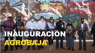 Inauguración Agrobaja edición 21 en Mexicali  La Voz de la Frontera [upl. by Laurita]