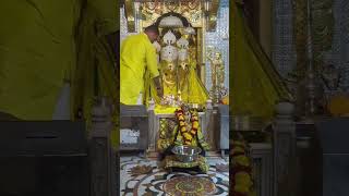 maa baglamukhi temple nalkeda mp। shubham guruji 9981535586 [upl. by Velick]