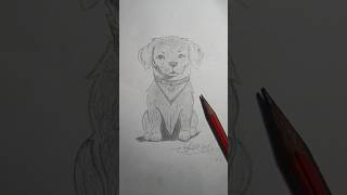 Simple Puppy Drawing shorts ytshorts pencil drawing hritiknaithaniArts sketch artwork [upl. by Valentin]