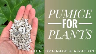 PUMICE FOR PLANTS amp POTTING SOIL MIX  A SOIL SCIENTIST VIEW ON PUMICE VS PERLITE [upl. by Eitisahc662]