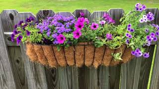 Backyard Fence Baskets [upl. by Adnanref]