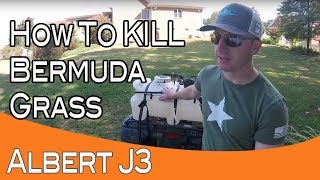 Killing Bermuda Grass With 1 Application [upl. by Arihppas344]