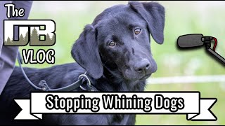 Stopping Whining Dogs Nip It Early  Ep 150 [upl. by Velick625]