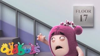 Oddbods  Newt and the Stairs [upl. by Tonya]