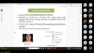 Corticosteroids by Dr Rehab [upl. by Vita]