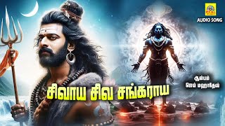 Shivaaya Shiva Sankaraaya  சிவாய சிவ சங்கராய  Sivan Devotional Song Tamil omnamahshivaya audio [upl. by Lael331]