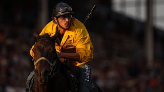 Night 1 of World Professional Chuckwagon Racing at the 87th Ponoka Stampede [upl. by Esele]