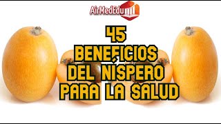 45 Beneficios del Fruto del Níspero para la Salud [upl. by Irret674]