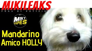 Gusto Mandarino amp Holly MikiLeaks [upl. by Ranger]