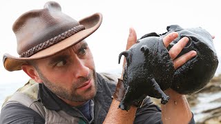 Giant Black Sea Creature Caught [upl. by Ahsiet]