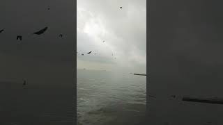 gatwayofindia mumbai myvlogvideo newviralvideo [upl. by Lillith]