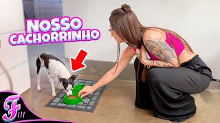 LEVAMOS COMIDA PRO NOSSO CACHORRINHO  Fran Japa [upl. by Frendel]