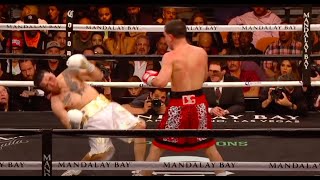 TKO Highlight  Danny Garcia vs Brandon Rios [upl. by Otsugua]