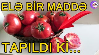 Bu tərəvəzdə elə bir maddə tapıldı ki ŞOK ARAŞDIRMA [upl. by Tapes303]