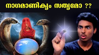 നാഗമാണിക്യം എന്ന അത്ഭുത കല്ല് l NAGAMANIKYAM EXPLAINED l MALAYALAM l AFWORLD [upl. by Nylekoorb]