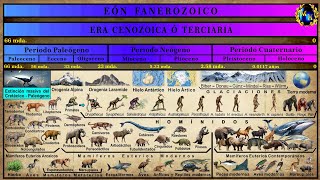 Las Eras Geológicas 5 La Era Cenozoica [upl. by Anemolihp]