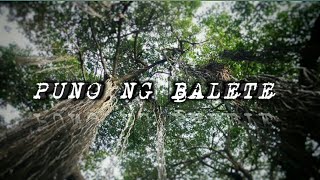 Puno ng Balete Kwento sa puno ng balete [upl. by Jeffry]