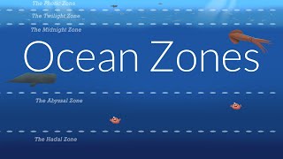 Ocean Zones  Nautilus Live [upl. by Euqilegna781]