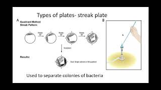 621 Cloning and biotechnology PART 2 g How to culture microorganisms in the lab [upl. by Cami151]