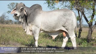 Lot 25  2AM PEREZ 8819 PS [upl. by Cary125]