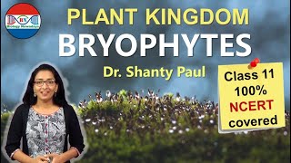 Bryophytes Plant kingdom [upl. by Rimhsak]