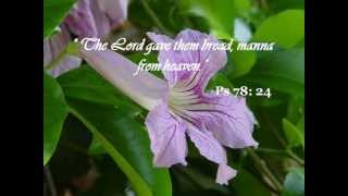 Responsorial Psalm  Psalm 78 The Lord gave them bread manna from heaven [upl. by Emlyn]