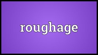 Roughage Meaning [upl. by Ialda590]