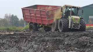 Modderen in de mais  Stuck in the mud during the maize harvest  Claas Xerion  John Deere 6850 [upl. by Hannavas]