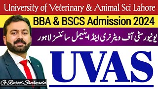 University of Veterinary amp Animal Sciences UVAS Lahore  BBA BSCS MBA MPhil amp PhD Programs [upl. by Vina119]