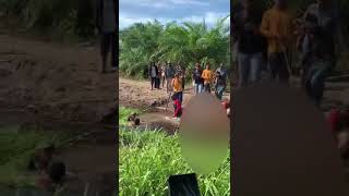 Buaya sungai Rokan makan korban lagi kejadian di Teluk hilap kab Rokan hilir riau [upl. by Ardnauq936]