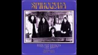 Spirogyra Hey Ladywmv [upl. by Seerdi123]