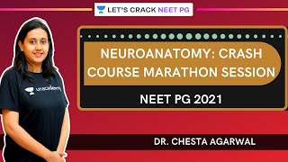 Neuroanatomy crash course Marathon session  NEET PG 2021  Dr Chesta Agarwal [upl. by Barfuss]