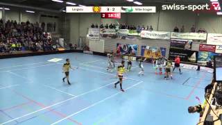 150328 Tigers Langnau vs SV WilerErsigen Playoff Viertelfinal Spiel 2 Highlights [upl. by Nyrehtak]