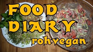 Food diary 7  meine fast rohvegane Ernährung für eine Woche [upl. by Ahcilef977]