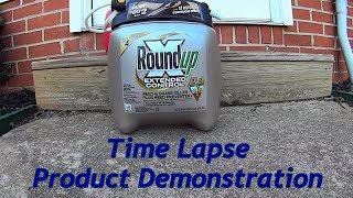 RoundUp quotExtended Controlquot Weed Killer Product Demonstration  Time Lapse [upl. by Otilia403]