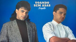 Voando Sem Asas  Zezé Di Camargo e Luciano Acapella [upl. by Florinda]