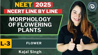 Morphology of Flowering Plants I L3 I Flower I NCERT Biology  Kajal Singh [upl. by Drofwarc]