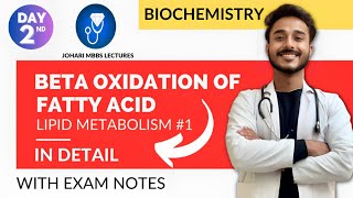 beta oxidation of fatty acid biochemistry  fatty acid oxidation pathway  fatty acid metabolism [upl. by Mylor]