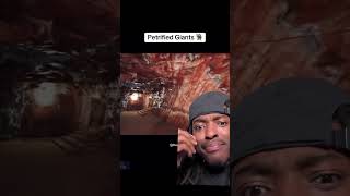 Yall think petrified giants are real 🧌 or 🧢 comment below wisdom6last petrified [upl. by Arotak]