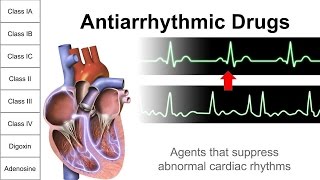 Antiarrhythmic Drugs [upl. by Asiek]