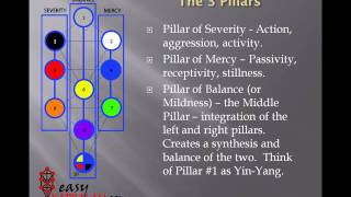 Tree of Life Basics [upl. by Zoilla]