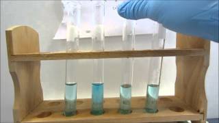 Double Displacement Reactions [upl. by Herman]