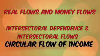 four sectors of economy  intersectoral dependence  intersectoral flows  real flows amp money flows [upl. by Elleiad231]