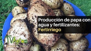 Producción de papa con agua y fertilizantes Fertirriego TvAgro por Juan Gonzalo Angel [upl. by Deden]