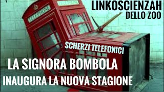 Gli scherzi telefonici di Wender con la signora Bombola [upl. by Bak]