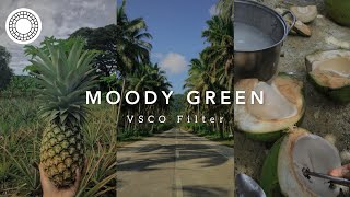 Moody Green VSCO Filter  vsco photo editing tutorial [upl. by Roselba]